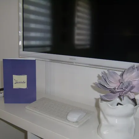 Lavender Daire Split