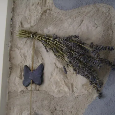 Apartment Studio Lavender