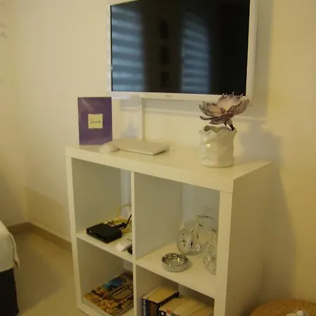 Studio Lavender * Split