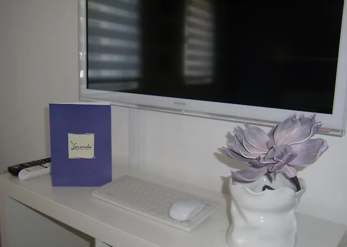 Lavender Apartment Split