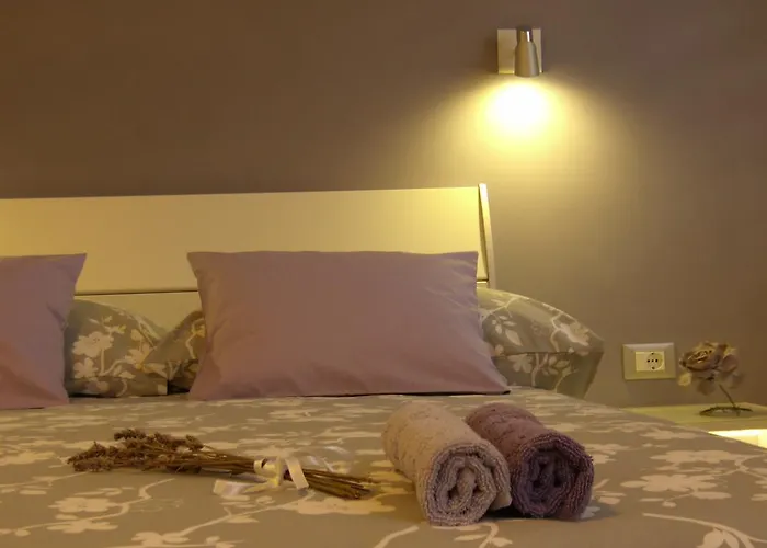 Apartment Lavender Split