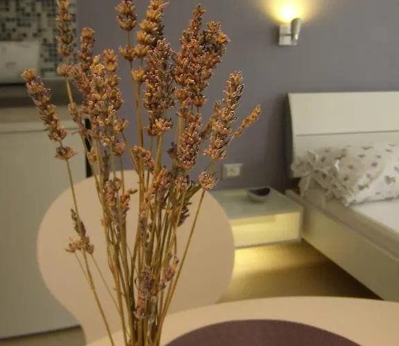 Lavender * Σπλιτ